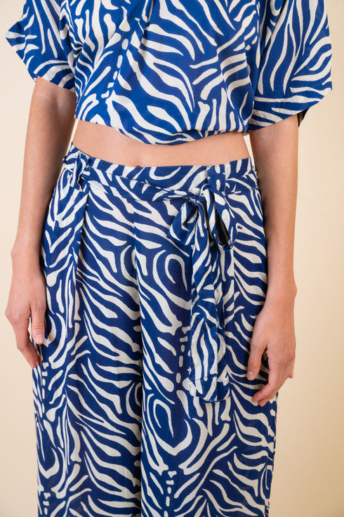 Y Why Pants Zebra